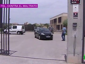 Frame 1.208944 de: Un hombre mata a una compañera en su centro de trabajo y se ahorca en Murcia Frame 1.208944 de: Un hombre mata a una compañera en su centro de trabajo y se ahorca en Murcia