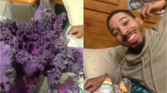 Las fotos de la lechuga y el chico publicado por su novia Las fotos de la lechuga y el chico publicado por su novia