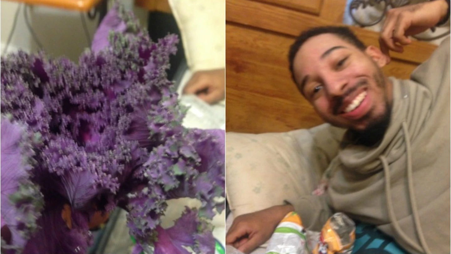 Las fotos de la lechuga y el chico publicado por su novia Las fotos de la lechuga y el chico publicado por su novia