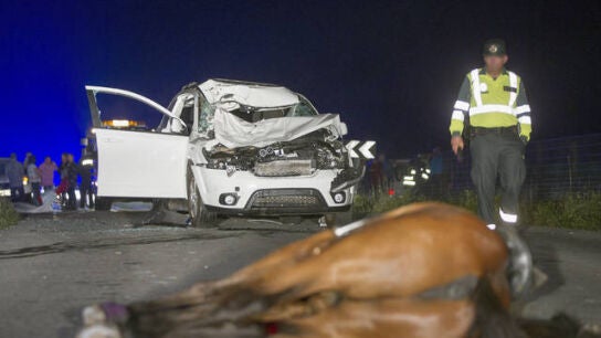 Muere una mujer y su caballo tras ser atropellados en Vilalba (Lugo)