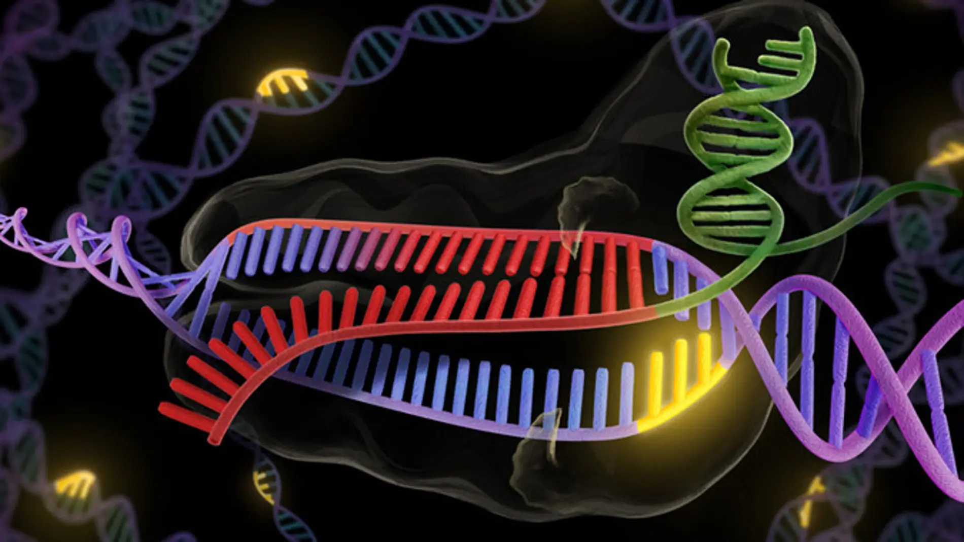 La tecnica CRISPR es capaz de crear cientos de mutaciones fortuitas
