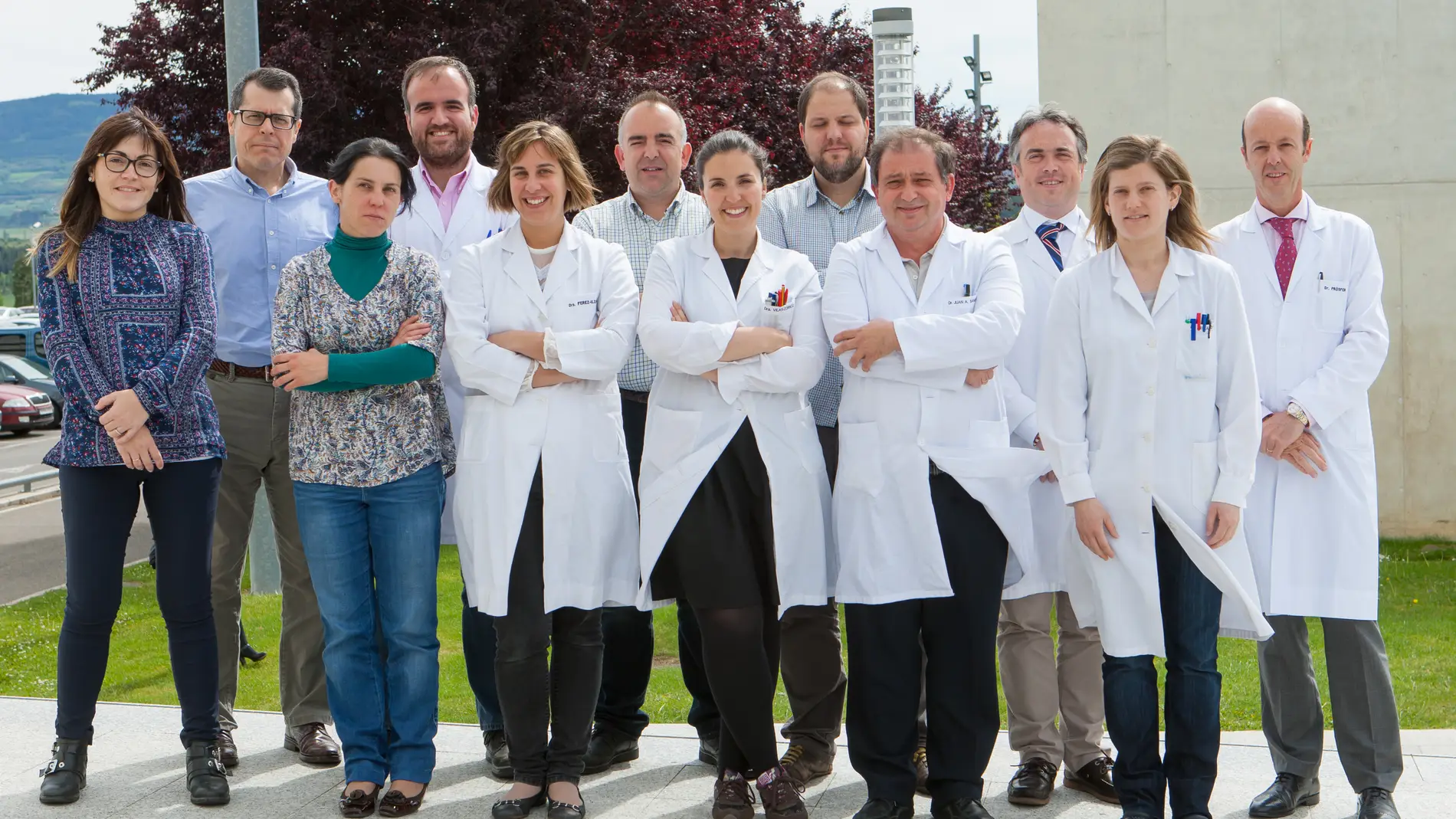 Disenan una molecula eficaz en el tratamiento de leucemias y linfomas