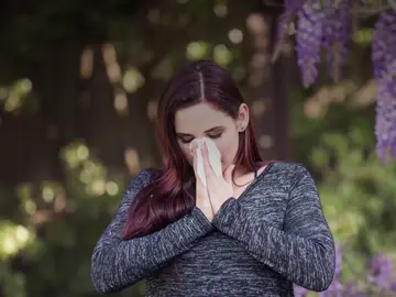 Alergia Alergia