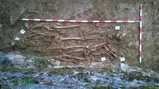 a fosa hallada en Urtasun con restos de personas fugadas de la prisión de Ezkaba a fosa hallada en Urtasun con restos de personas fugadas de la prisión de Ezkaba