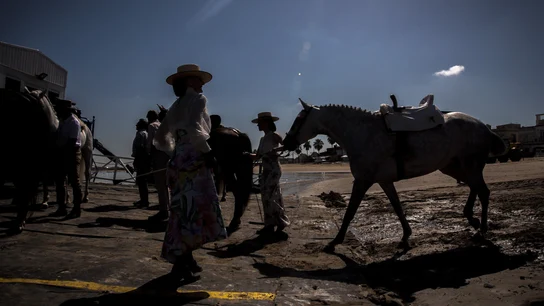 Las hermandades rocieras gaditanas inician su peregrinación a la aldea de El Rocío (Huelva) Las hermandades rocieras gaditanas inician su peregrinación a la aldea de El Rocío (Huelva)