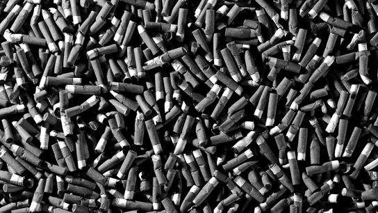 Imagen de archivo de colillas Imagen de archivo de colillas