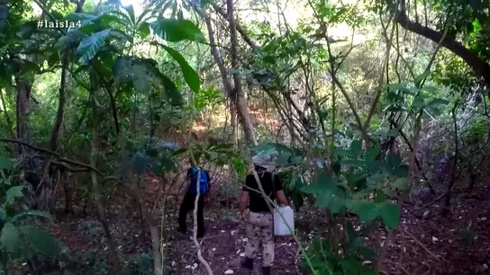Los aventureros en La Isla Los aventureros en La Isla