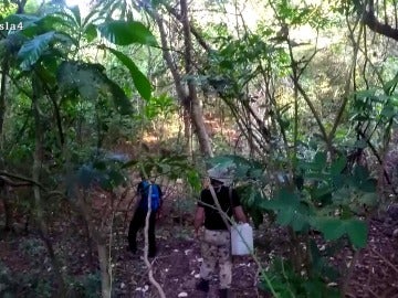 Los aventureros en La Isla Los aventureros en La Isla