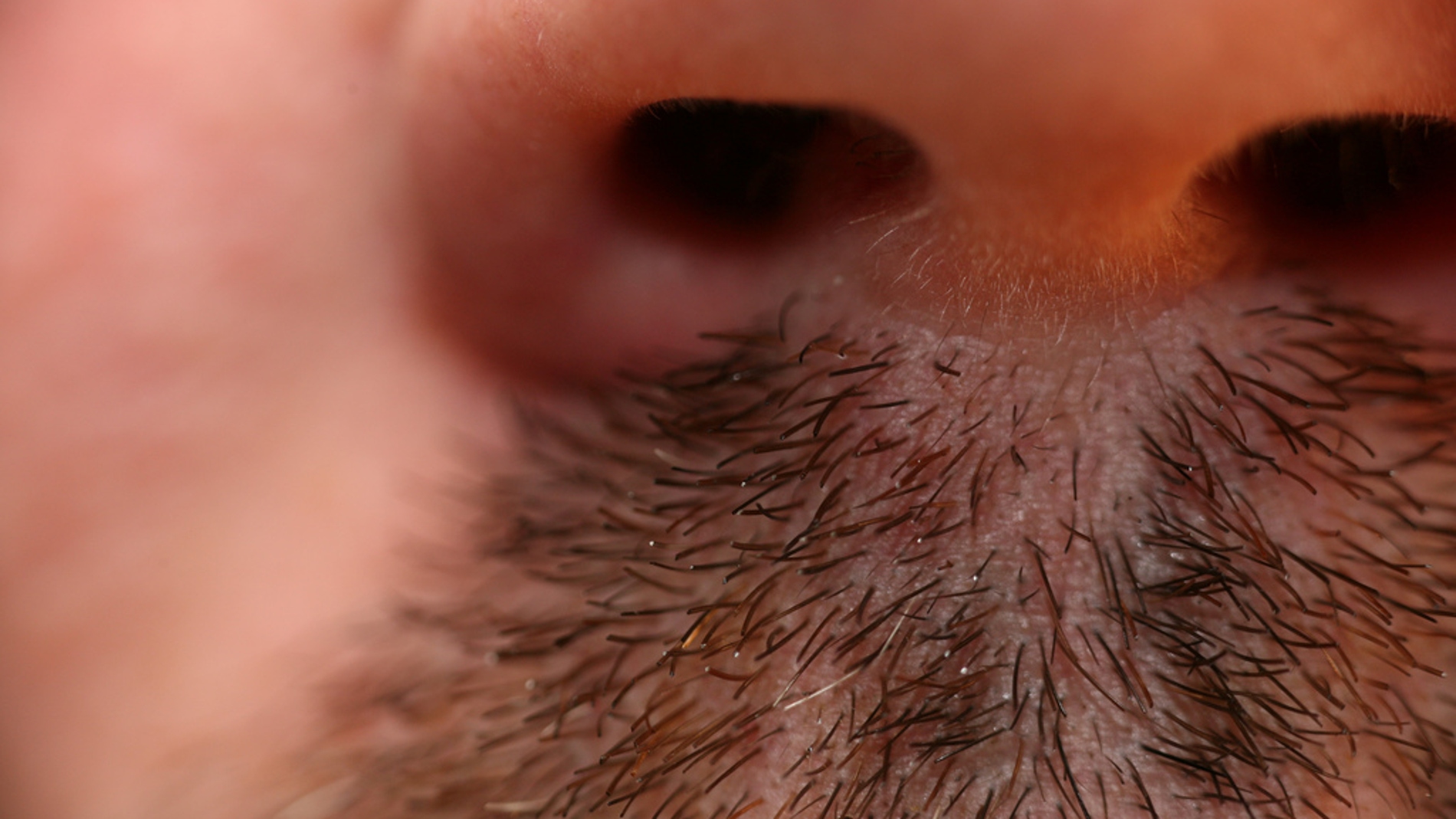 Un bigote