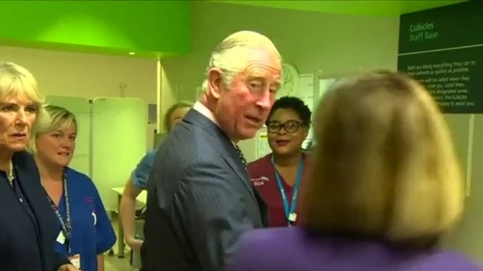 Duques de Cornualles Duques de Cornualles