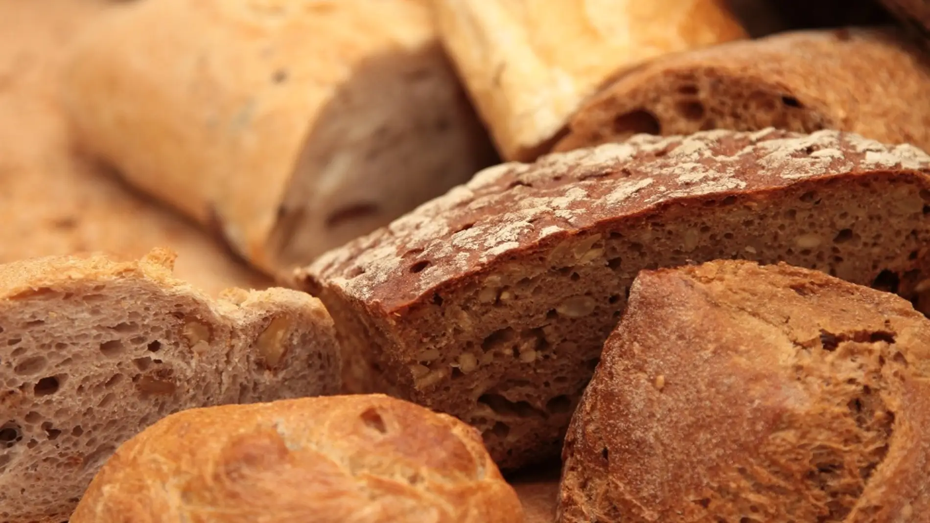 Distintos tipos de panes