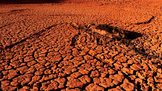 Tierra cuarteada por la sequía Tierra cuarteada por la sequía
