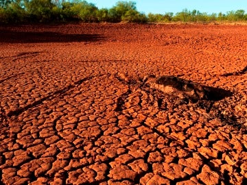 Tierra cuarteada por la sequía Tierra cuarteada por la sequía