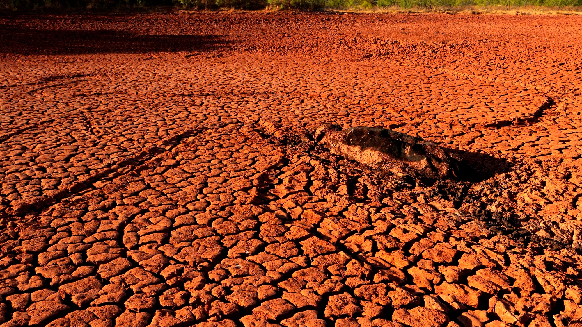 Tierra cuarteada por la sequía