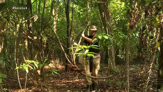 David recoge yuca en La Isla David recoge yuca en La Isla