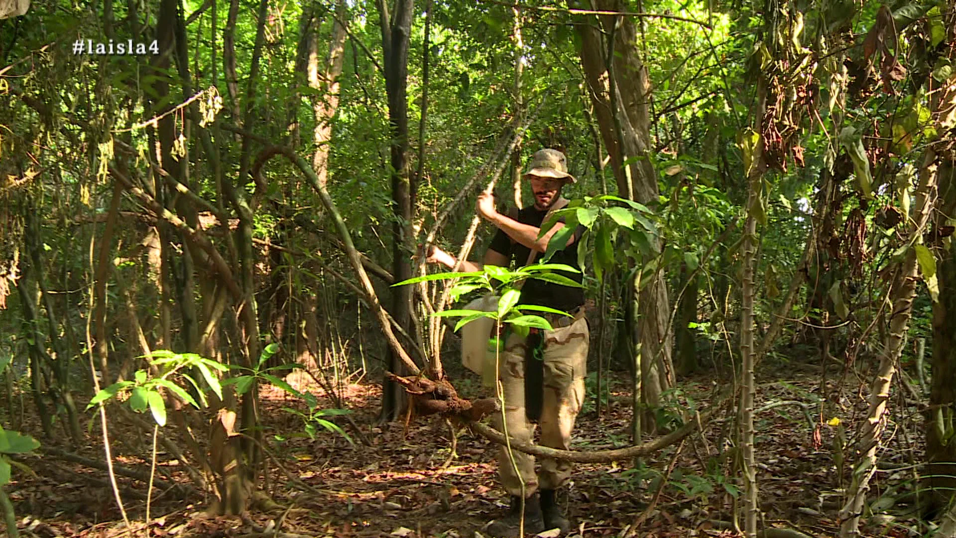 David recoge yuca en La Isla