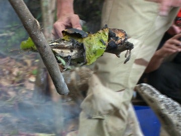 Un pez, la comida de los aventureros en La Isla Un pez, la comida de los aventureros en La Isla