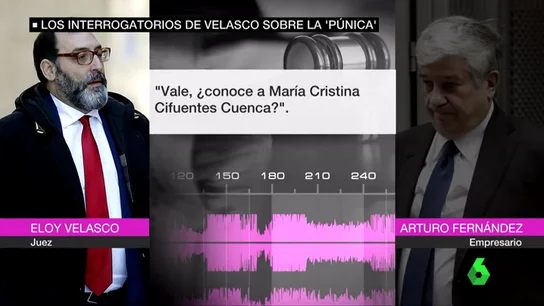 punica punica