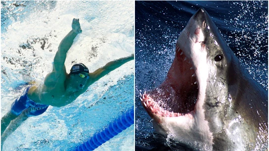 Michael Phelps, ante su mayor reto: una carrera contra un tiburón Michael Phelps, ante su mayor reto: una carrera contra un tiburón