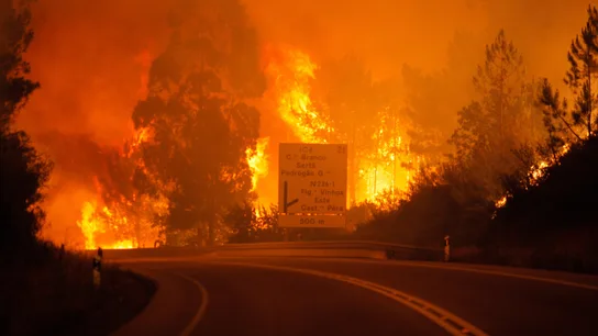 Incendio en el municipio de Pedrogao Grande, en el centro de Portugal Incendio en el municipio de Pedrogao Grande, en el centro de Portugal