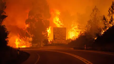 Incendio en el municipio de Pedrogao Grande, en el centro de Portugal