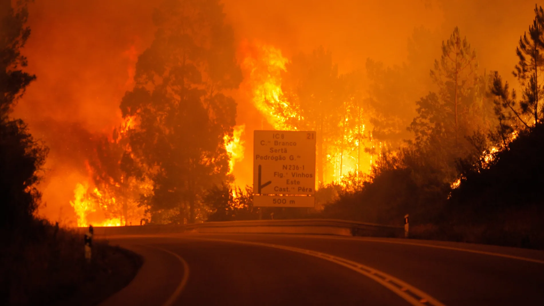 Incendio en el municipio de Pedrogao Grande, en el centro de Portugal