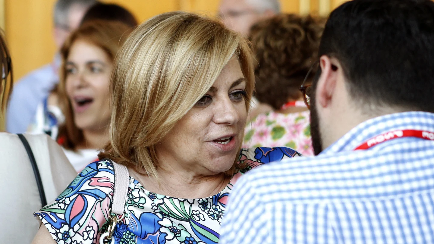 La eurodiputada y exvicesecretaria general socialista Elena Valenciano La eurodiputada y exvicesecretaria general socialista Elena Valenciano