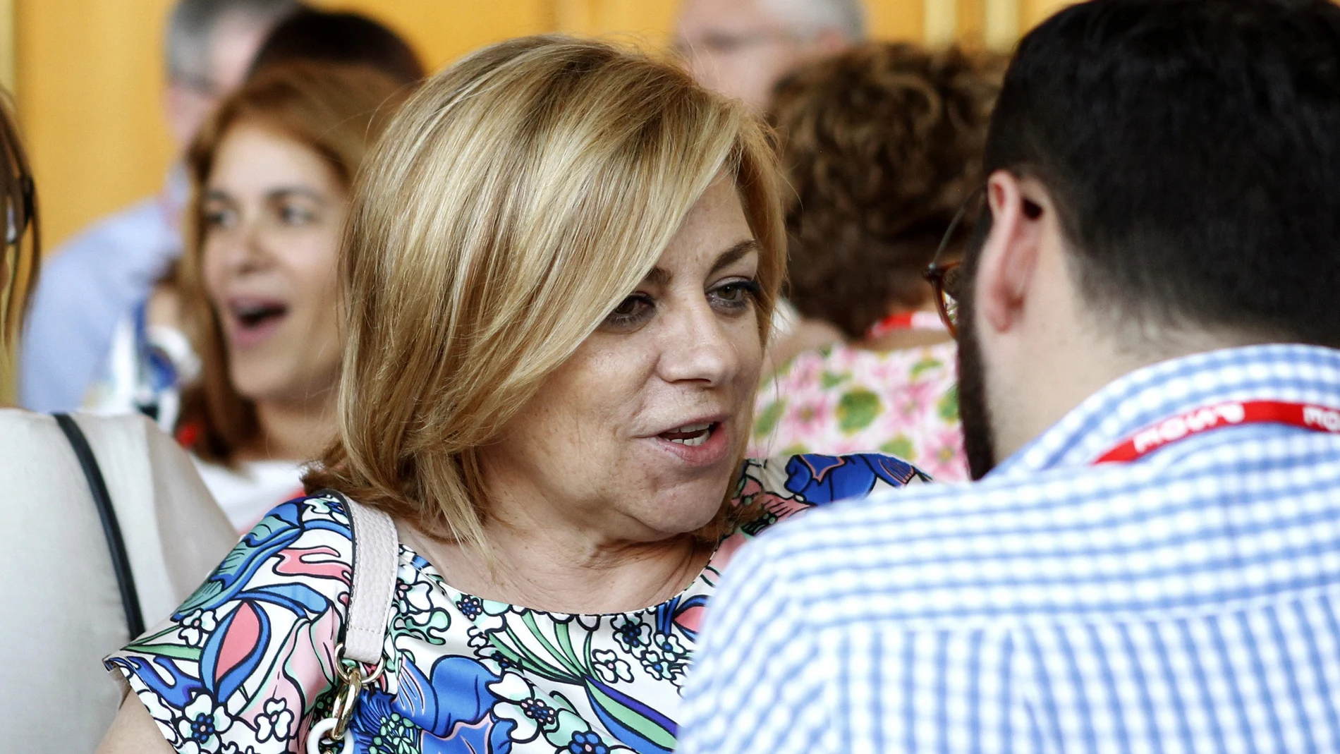 La eurodiputada y exvicesecretaria general socialista Elena Valenciano