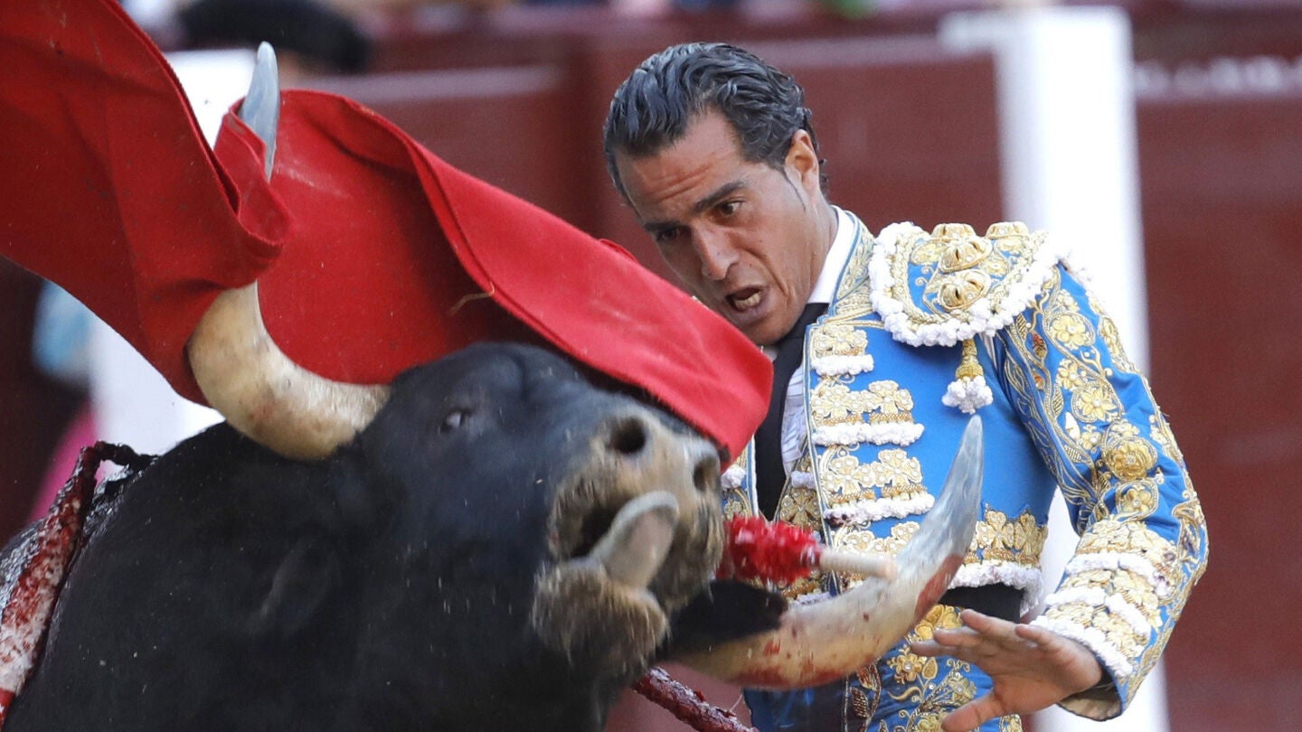 El torero Iv&aacute;n Fandi&ntilde;o