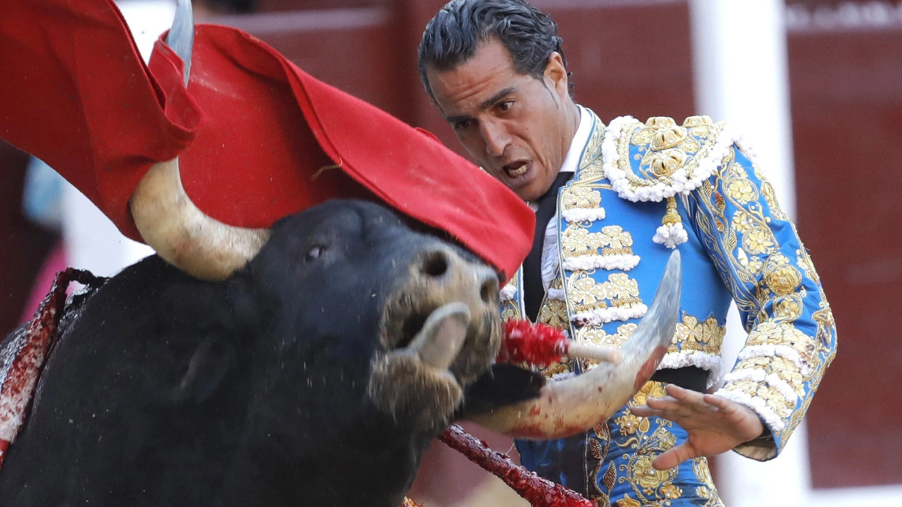 El torero Iván Fandiño