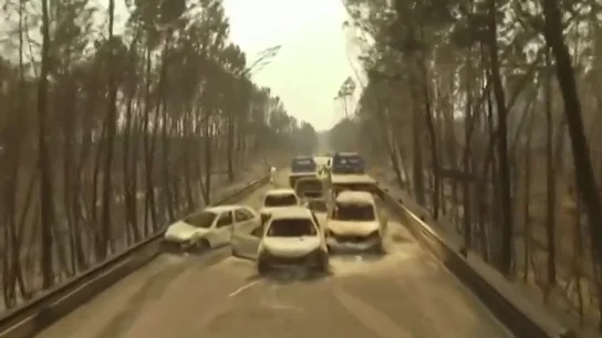 Nuevas imágenes del incendio de Portugal Nuevas imágenes del incendio de Portugal