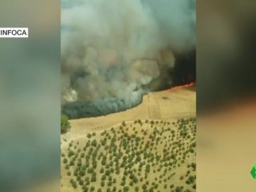 Andalucía tiene cuatro incendios forestales activos Andalucía tiene cuatro incendios forestales activos