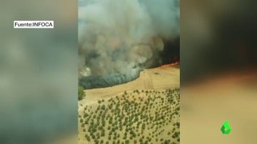 Andalucía tiene cuatro incendios forestales activos