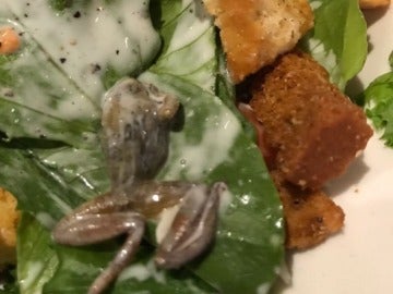 Una rana muerta en la ensalada en BJ's Restaurant and Breweries Una rana muerta en la ensalada en BJ's Restaurant and Breweries