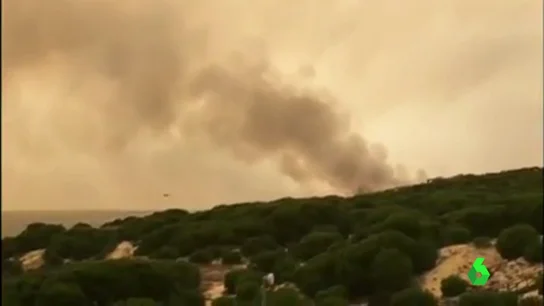 El corte de la carretera de Matalascañas por el incendio que azota Huelva deja miles de personas atrapadas El corte de la carretera de Matalascañas por el incendio que azota Huelva deja miles de personas atrapadas
