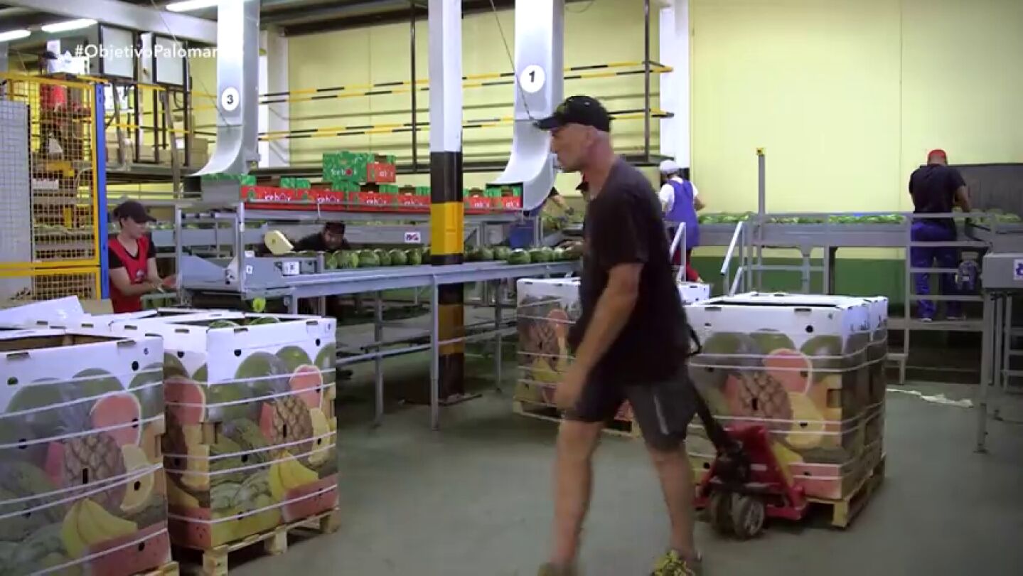La marca Palomares, un lastre para los agricultores: muchos optaron por quitar la etiqueta a sus productos