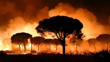 Imagen de EFE Televisión del incendio declarado anoche en el paraje La Peñuela de Moguer 