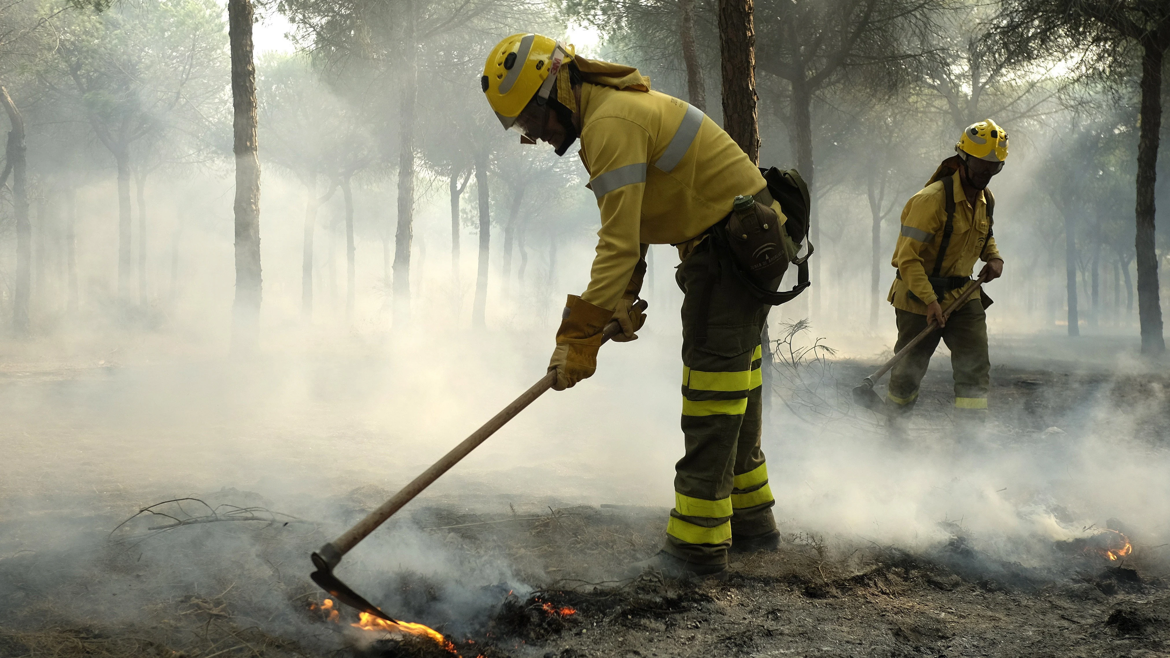 Bomberos trabajan en los alrededores de Mazagón