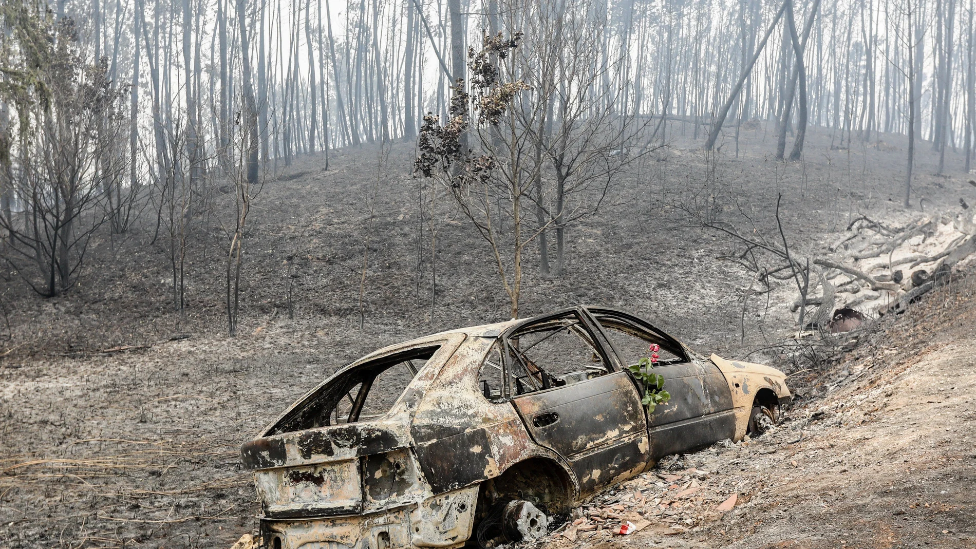 Un vehículo destrozado por el fuego en Nodeirinho