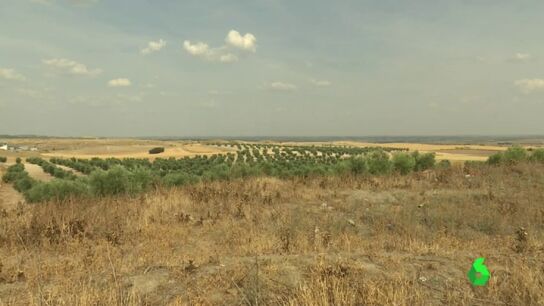 Vecinos y ecologistas denuncian que se puede construir una nueva incineradora en Madrid alcanzando el "residuo cero"