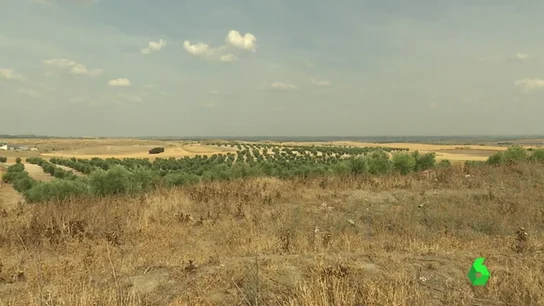 Vecinos y ecologistas denuncian que se puede construir una nueva incineradora en Madrid alcanzando el "residuo cero" Vecinos y ecologistas denuncian que se puede construir una nueva incineradora en Madrid alcanzando el "residuo cero"