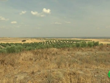 Vecinos y ecologistas denuncian que se puede construir una nueva incineradora en Madrid alcanzando el "residuo cero" Vecinos y ecologistas denuncian que se puede construir una nueva incineradora en Madrid alcanzando el "residuo cero"