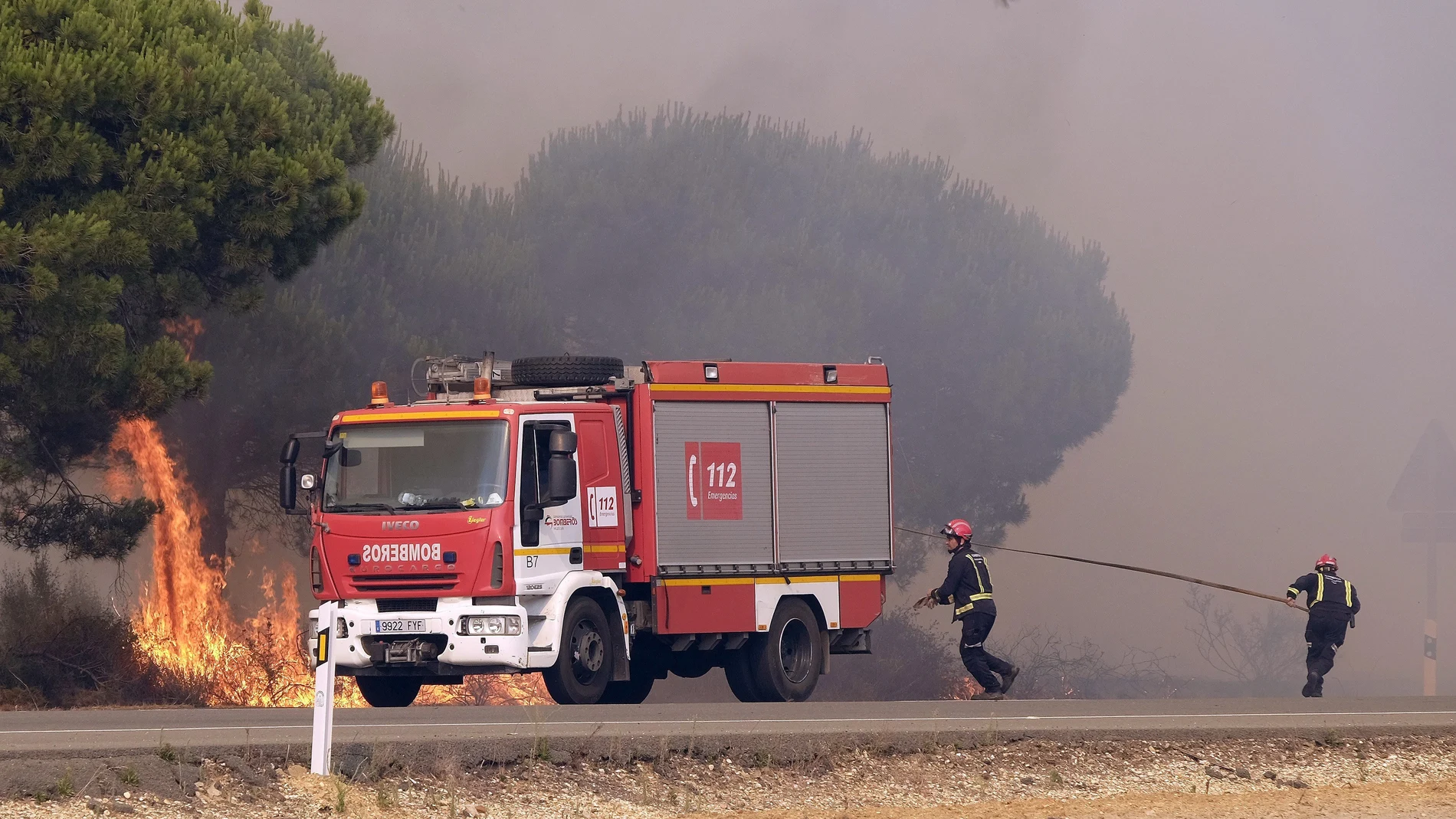 omberos intentan apagar un nuevo foco de fuego en la carretera que une las localidades de Mazagón y Matalascañas