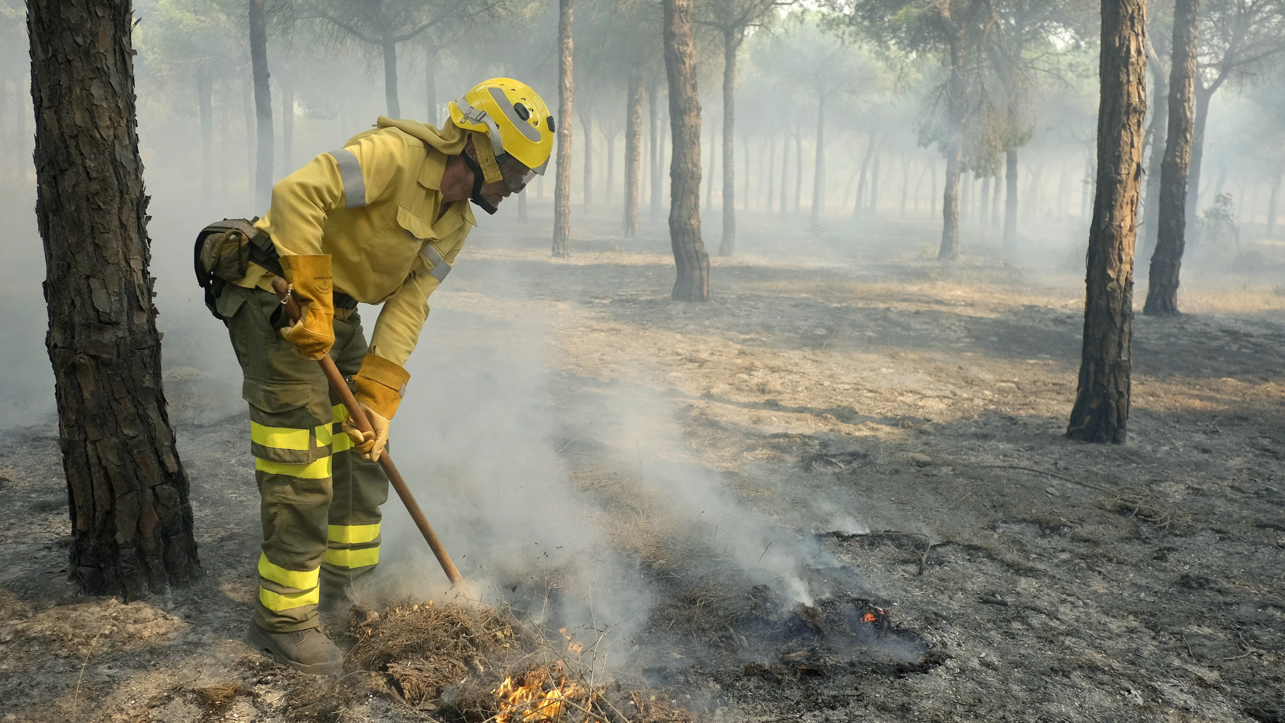 Bomberos trabajan en los alrededores de Mazagón, en Huelva