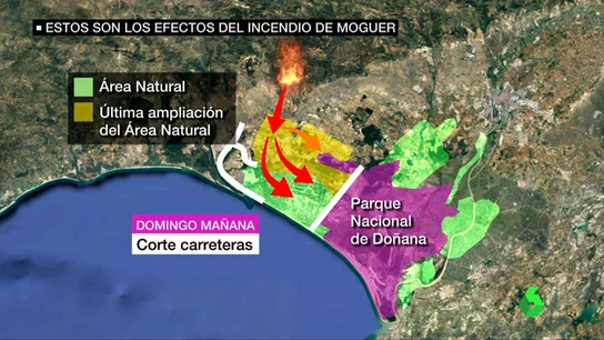 peligro doñana peligro doñana