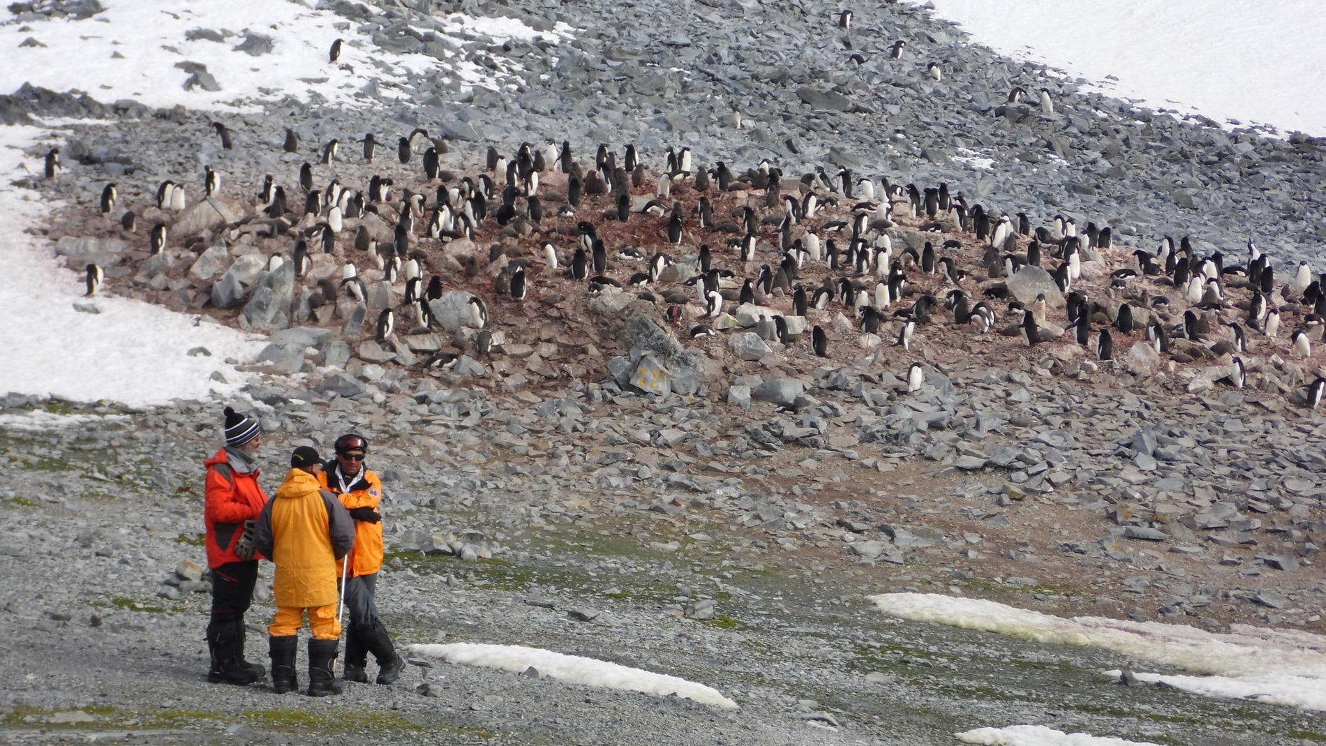 Los contaminantes emergentes tambien afectan a la peninsula antartica