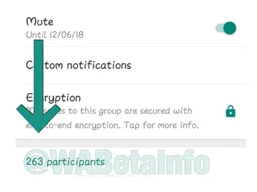 Ampliación grupos de Whatsapp Ampliación grupos de Whatsapp
