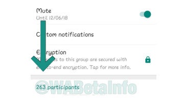 Ampliación grupos de Whatsapp