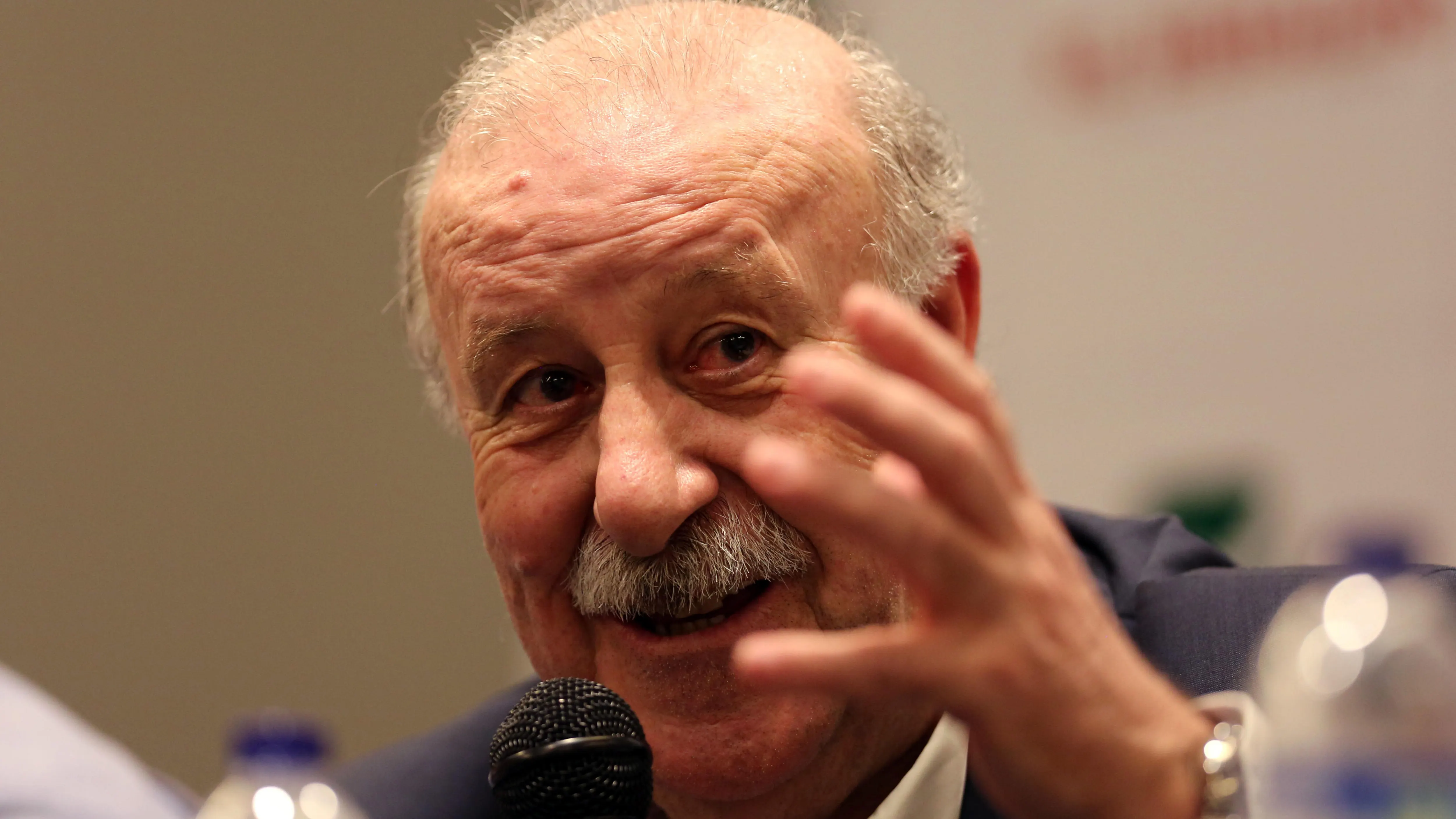 Vicente del Bosque, exentrenador nacional