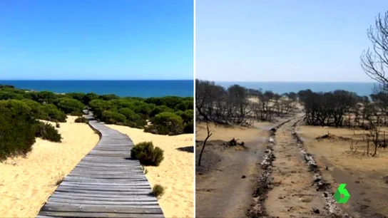 El antes y el después del incendio en Moguer El antes y el después del incendio en Moguer